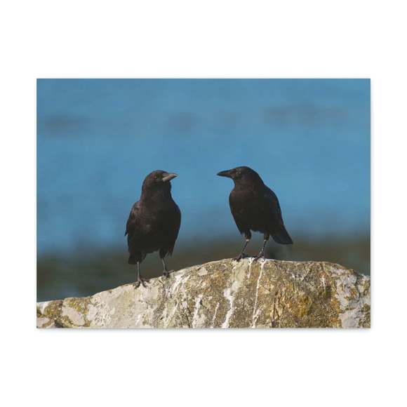 Couple of Crow Chatting Print Animal Wall Art Wildlife Canvas Prints Wall Art Re